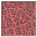 coverlux_reference_var_3167A01